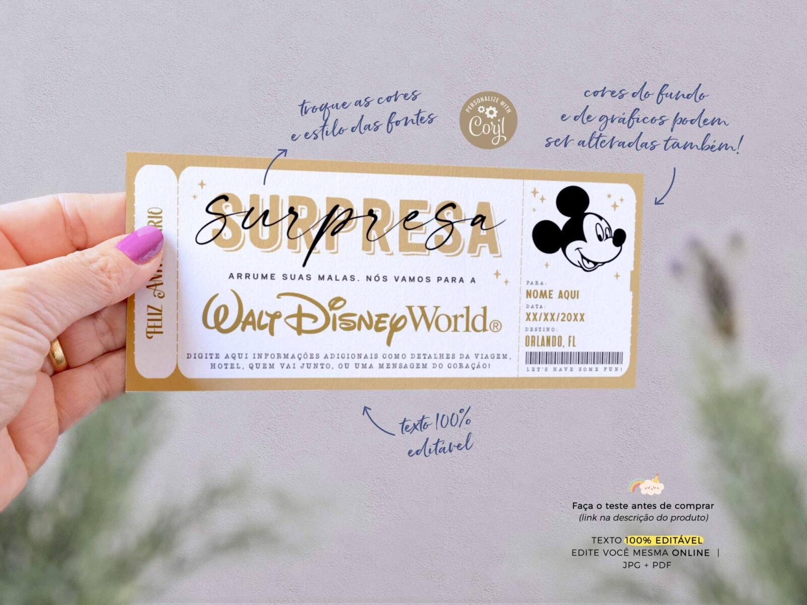 Voucher Vale Viagem Surpresa Walt Disney World - Image 2