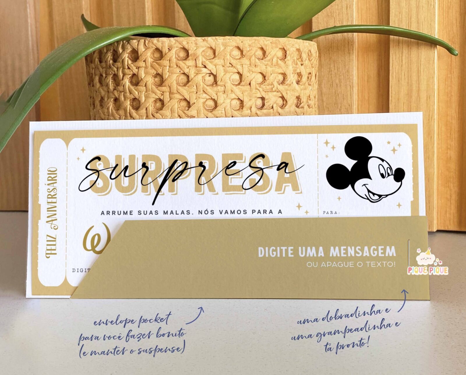 Ticket Viagem Disney Horizontal